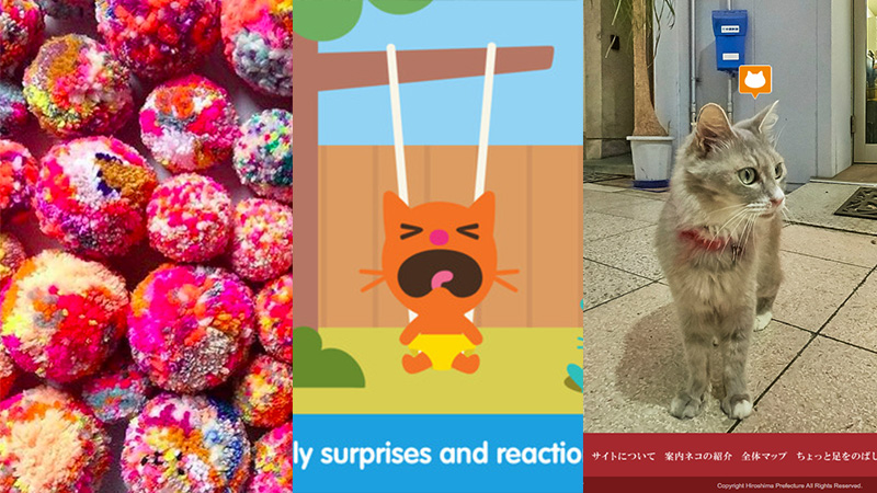 #Week42 – Mes trois découvertes de la semaine : DIY, babies & cats